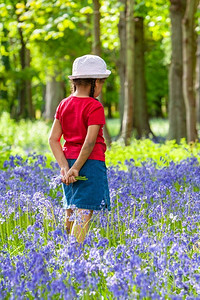 混血非洲裔美国女孩春天走在蓝铃木或森林里采花