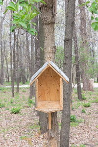 手工制作的鸟屋由纸板和锌在树林在春天