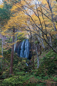 Tatsuzawafudo瀑布秋天在福岛
