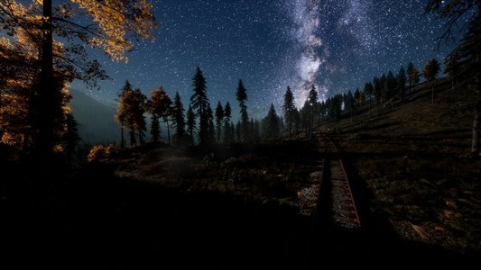 铁路和森林上方的银河