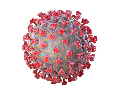 隔离感染摄影照片_冠状病毒的图示。包括剪辑路径。3D插图。图示冠状病毒隔离在白色背景