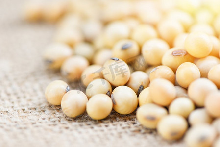采收摄影照片_麻袋上的大豆背景农产品/干大豆，选择性焦点