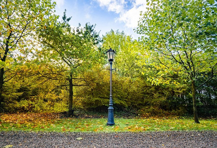 秋天的公园里挂着复古路灯的秋景，有五颜六色的树叶
