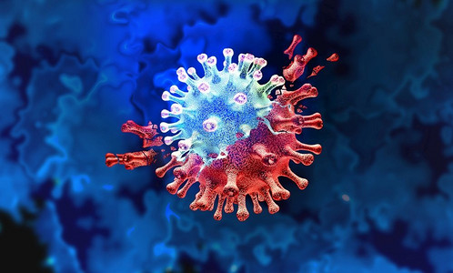 病毒摄影照片_ 新的，变异，冠状病毒，冠状病毒