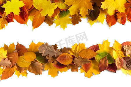 边框秋天摄影照片_白色背景上孤立的秋叶边框。秋叶