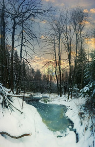冬季风景森林中冰冻的小溪