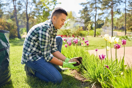 园艺与人的概念--人在夏园里为花儿浇土。一名男子在夏园为花卉浇土