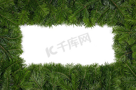 圣诞节绿色边框装饰摄影照片_圣诞节边框用新鲜的冷杉树枝隔绝在白色背景上，复制文本空间。冷杉树枝的圣诞边框