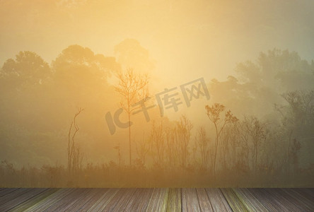 热带雨林背景摄影照片_泰国热带雨林旁的木制平台