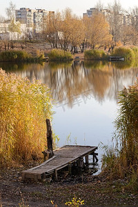 秋天，乌克兰基辅，湖边的浮桥和芦苇