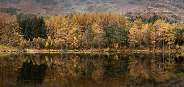 令人惊叹的充满活力的秋季景观图像的Blea Tarn与金色的颜色反映在湖