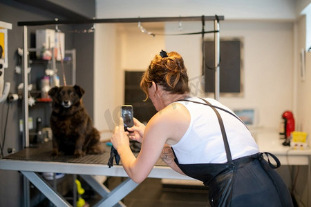 可爱小纹身摄影照片_专业宠物理发师时髦的妇女有纹身使用移动电话，同时采取照片可爱的黑色狗在美容院为动物