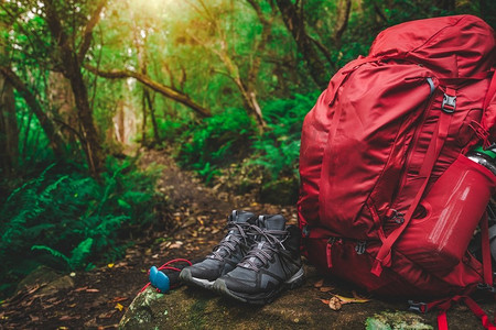 红色背包和徒步旅行装备设置在岩石在热带雨林塔斯马尼亚，澳大利亚。徒步旅行和露营冒险。