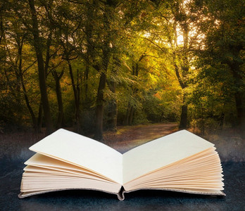 美丽的秋天五颜六色充满活力的森林景观在页面打开的幻想书