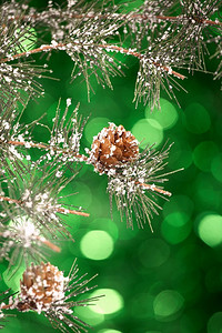松枝装饰摄影照片_松枝与圆锥在绿色闪闪发光的背景。圣诞静物