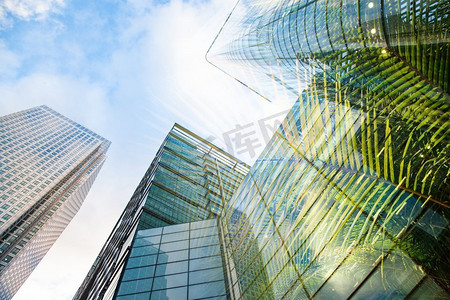 现代摩天大楼窗户和郁郁葱葱的绿色植被双重曝光—生态友好的绿色城市