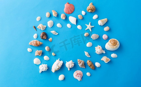 贝壳的分类摄影照片_海洋生物和夏天概念—框架不同的海贝壳在蓝色背景。框架不同的海贝壳在蓝色背景