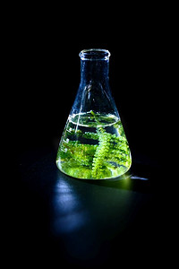 藻类海藻研究、生物燃料产业科学、可持续发展理念