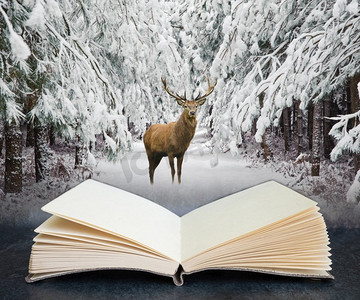 数字合成概念图像打开书与美丽的马鹿鹿在雪覆盖冬季森林景观