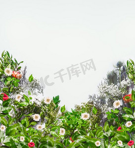 在阳光下的各种夏天花在白色背景，顶视图frame.花卉边缘。复制空间。平的位置