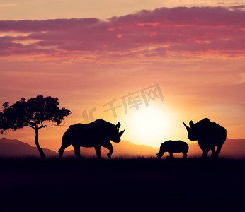 犀牛剪影摄影照片_ 犀牛家庭走在日落