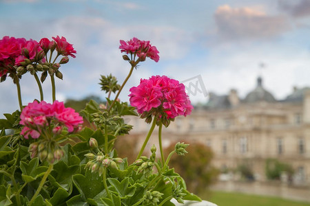 皇室宫殿摄影照片_卢森堡花园-巴黎市中心的宫殿和公园组合。前皇室，现在是国家宫殿公园