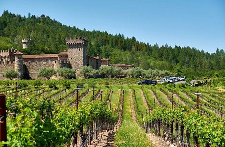 葡萄园与城堡在加利福尼亚州，美国