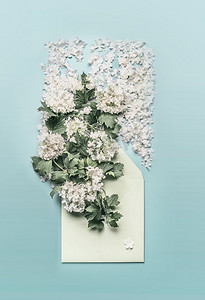 邀请函喜庆摄影照片_信封，白色的，鲜花的，排列的
