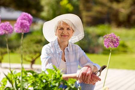 园艺和人的概念—愉快的高级妇女与修剪机照顾花在夏季花园。高级妇女与花园修剪机和鲜花