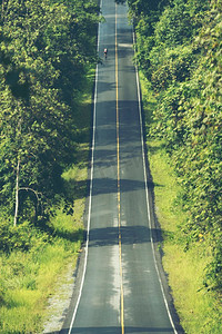 泰国考艾国家公园热带林场的道路