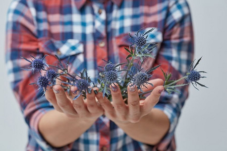 女孩的手握着蓝色的小花朵。’问候卡的概念。母亲节’女性手与蓝色花eryngium