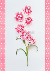 美丽的粉红色花组成与在白色背景的点框架。俯视图。