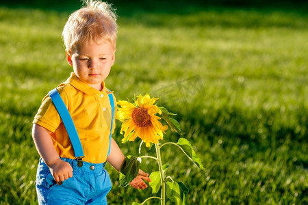 日照摄影照片_一岁的男婴看着向日葵。户外学步儿童的肖像。一岁男婴看向日葵的乡村场景