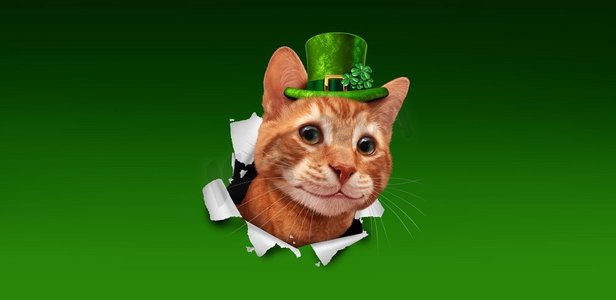 天猫商品图摄影照片_圣帕特里克节爱尔兰假日猫戴绿色妖精帽子与三叶草爆发出纸与3D插图元素。