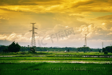 风景绿色稻田与电线杆高电压和山日落背景 