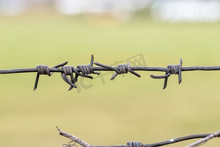 边境围栏摄影照片_详细的铁刺铁丝网用作围栏关闭一个领域的绿色草地