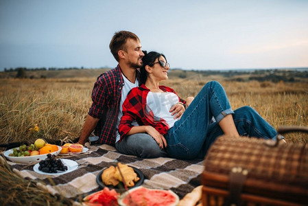 一对情侣，在夏田的格子布上野餐。浪漫的男女之旅。爱情夫妇，野餐在格子布在夏天的领域