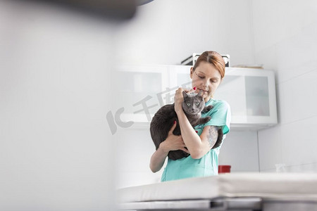 医生携带俄罗斯蓝猫在兽医诊所