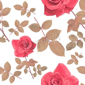 数字绘画无缝图案与玫瑰和叶子。玫瑰和叶子的无缝图案