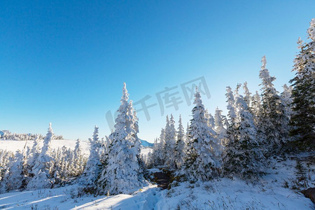 初冬，第一场雪覆盖了美国蒙大拿州冰川国家公园的岩石和树林