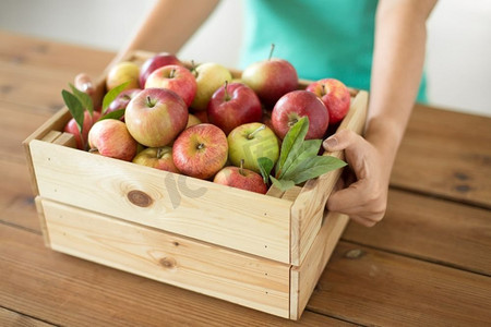 农业，园艺和收获概念—妇女与木箱成熟的苹果。一个带着熟苹果的木箱的女人