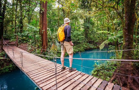 背包的行人摄影照片_徒步旅行在绿色的热带丛林，哥斯达黎加，中美洲