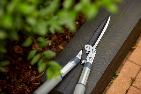 园艺和工具概念—修剪机或修剪剪在花园特写镜头。修剪机或修剪剪在花园的特写