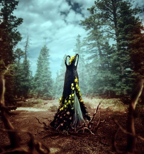 美丽的藤裙，装饰着黄色的花朵和树根，背景是松林