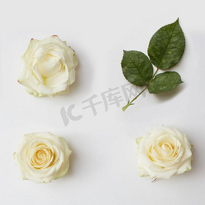 天安门背景图竖版摄影照片_玫瑰，花，花，黄色