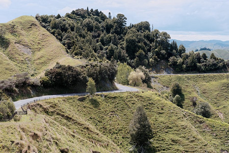 新西兰塔拉纳基的乡村风光。新西兰被遗忘的世界公路沿线的乡村风景