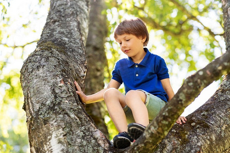 攀岩男孩摄影照片_童年、休闲游戏和人的概念-快乐的小男孩在夏季公园爬树。快乐的小男孩在公园爬树