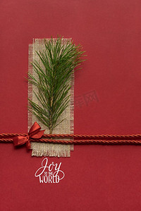 圣诞树树枝摄影照片_圣诞树树枝的创造性概念照片在红色背景。