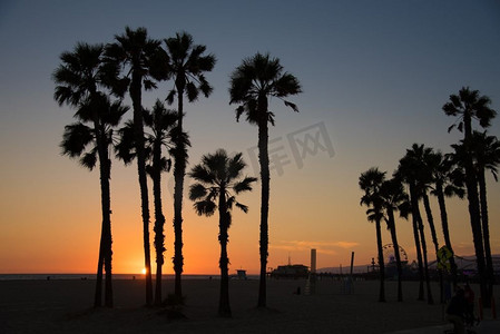 夜色摄影照片_加州圣莫尼卡海滩黄昏时棕榈树的剪影