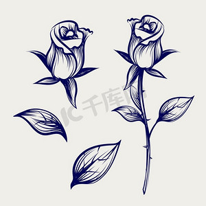 素描玫瑰花，芽和叶。葡萄酒素描玫瑰花、玫瑰花蕾和叶子隔绝在灰色背景。传染媒介例证